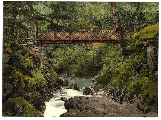 A picture of Torrent Walk III, Dolgelly (i.e. Dolgellau), Wales