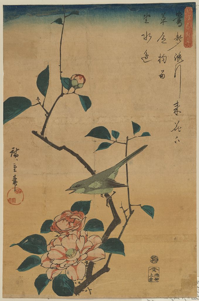 A picture of Tsubaki ni uguisu