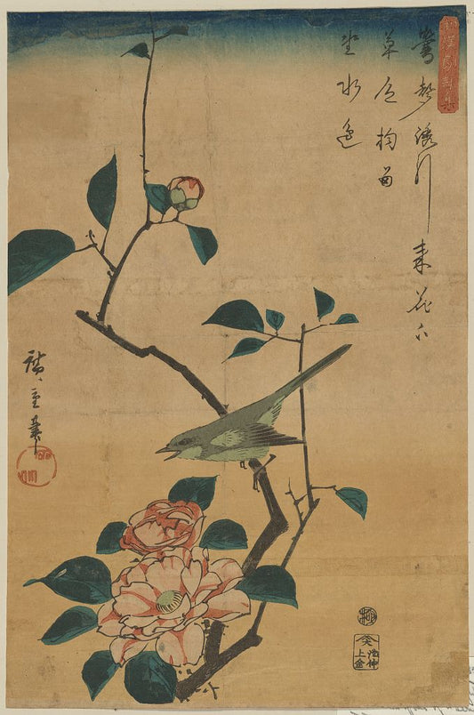 A picture of Tsubaki ni uguisu