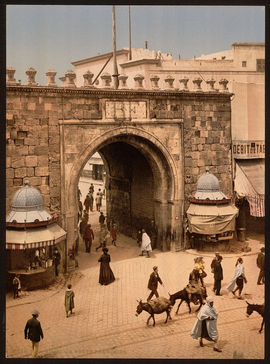 A picture of Tunis. La porte française