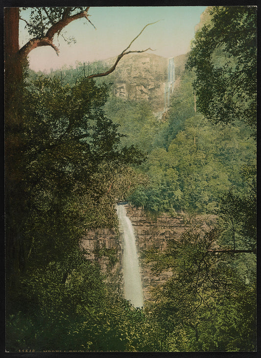 A picture of Twin Falls, Moss Vale