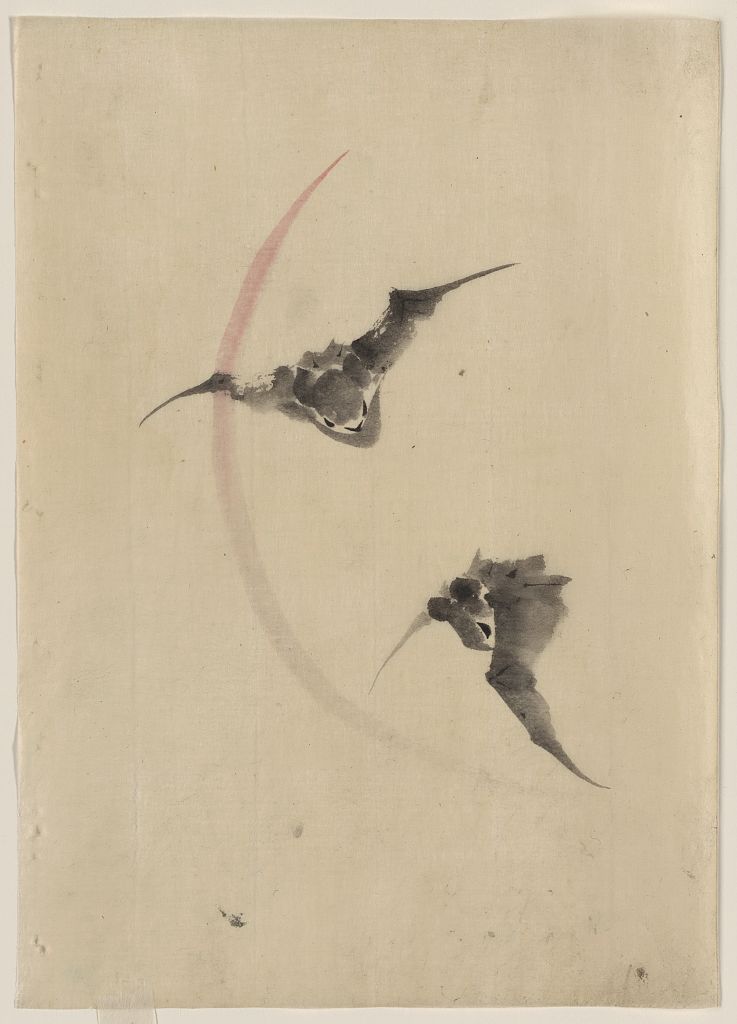 A picture of Two bats flying