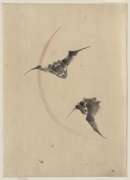 A picture of Two bats flying
