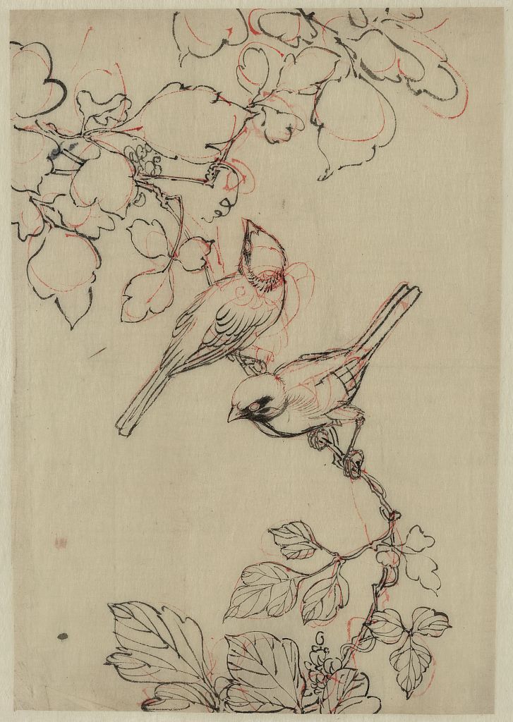 A picture of Two birds perched on grapevines