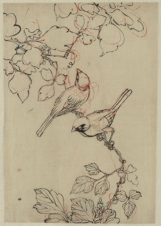 A picture of Two birds perched on grapevines