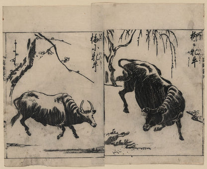 A picture of Two oxen, one under a willow tree and one under a plum tree