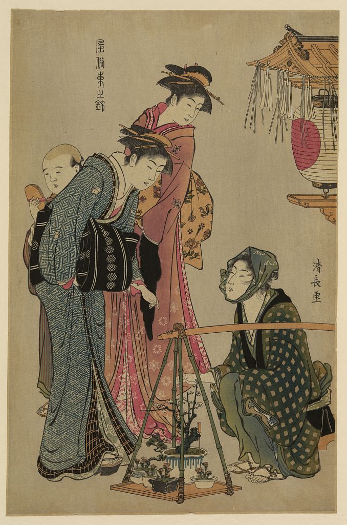 A picture of Ueki fukujusō uri
