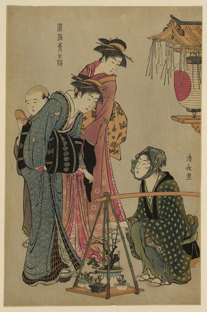 A picture of Ueki fukujusō uri