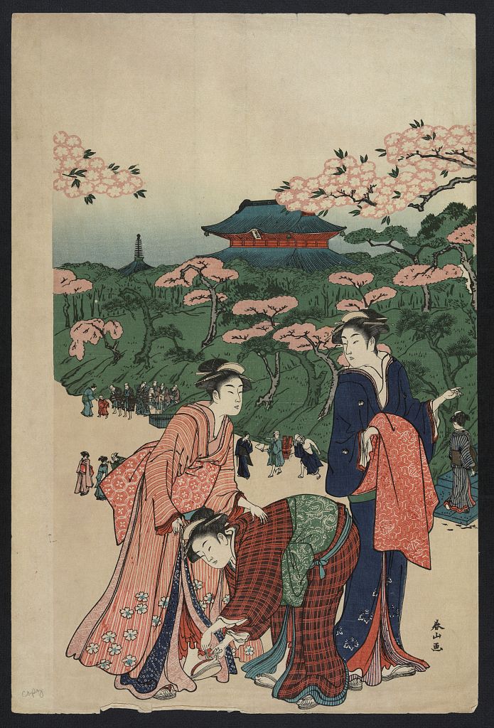 A picture of ueno no hanami