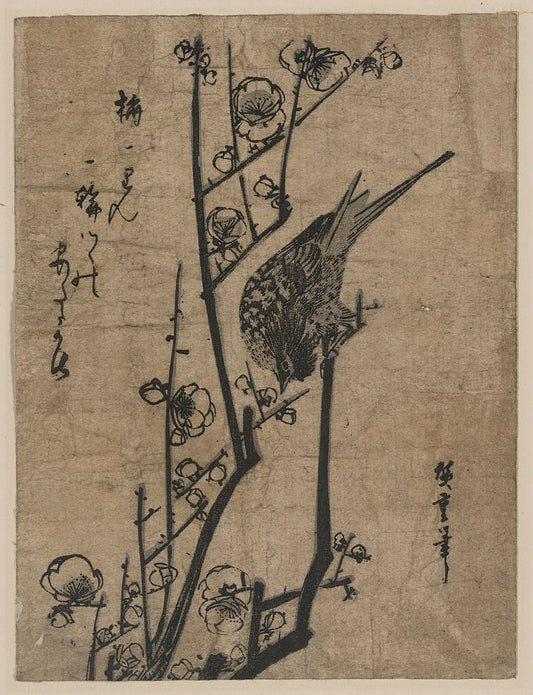 A picture of Ume ni uguisu