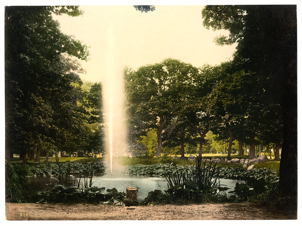 A picture of Under the oaks, Harzburg, Hartz, Germany