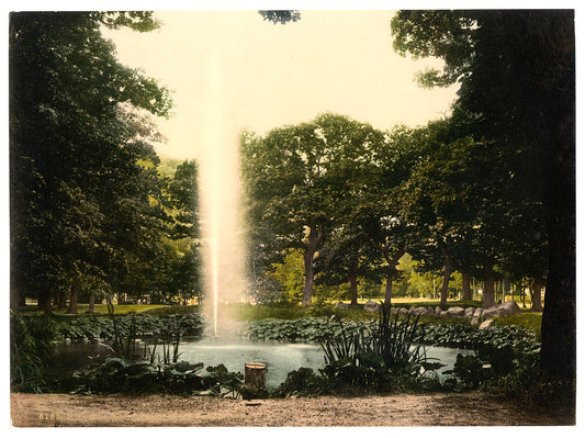 A picture of Under the oaks, Harzburg, Hartz, Germany