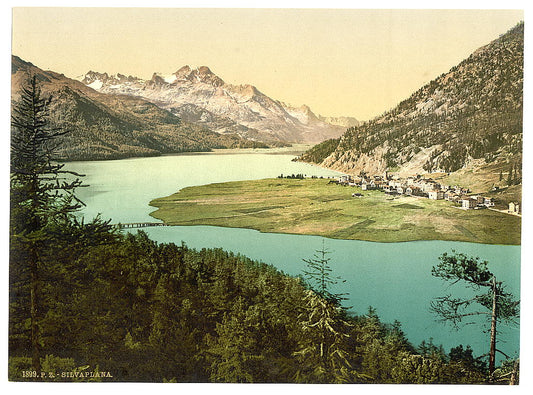 A picture of Upper Engadine, Silvaplana, III., Grisons, Switzerland