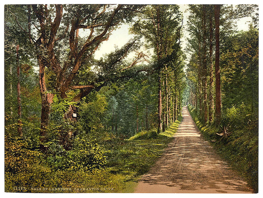 A picture of Vale of Lanherne, Carmanton Drive, Cornwall, England