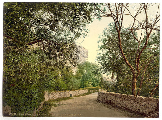 A picture of Ventnor, road to the Undercliff, Isle of Wight, England