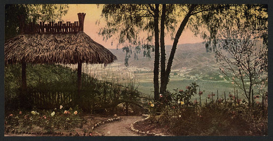 A picture of View from Smiley's Heights, Redlands, Cal.