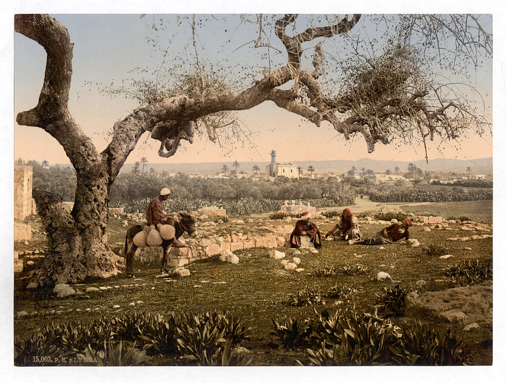 A picture of View from Southwest, Lydda, Holy Land, (i.e. Israel)