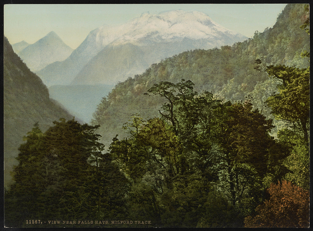 A picture of View near Falls Hats, Milford Track