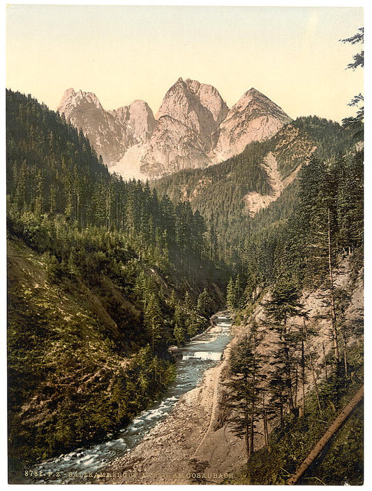 A picture of View on the Gosaubach, Upper Austria, Austro-Hungary