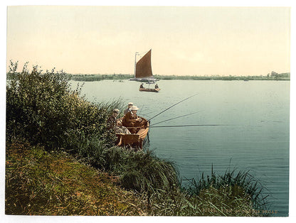 A picture of View on the river, Barton Broad, England