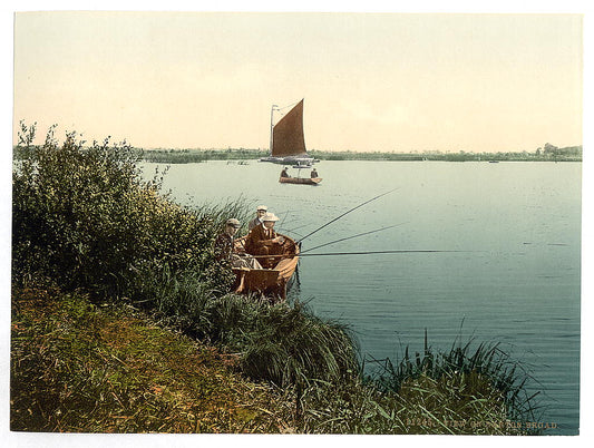 A picture of View on the river, Barton Broad, England