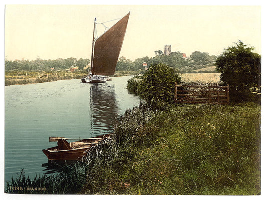 A picture of View on the river, Belaugh, England