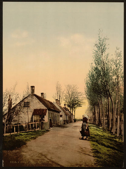 A picture of Village near Dordrecht, Dordrecht, Holland