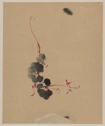 A picture of Vine with blossoms