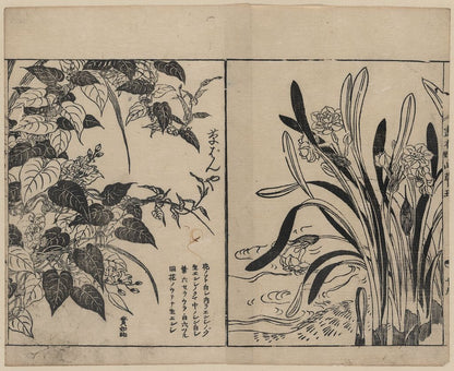 A picture of Vines and daffodils