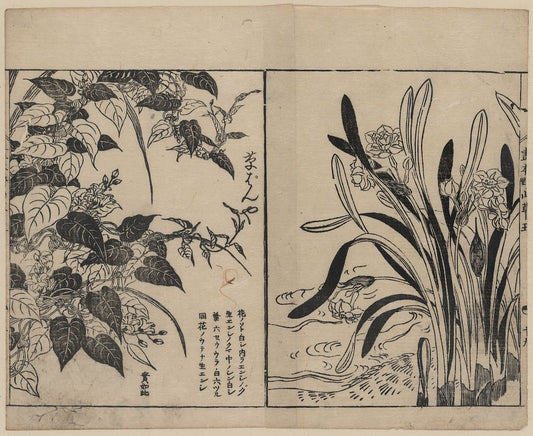 A picture of Vines and daffodils