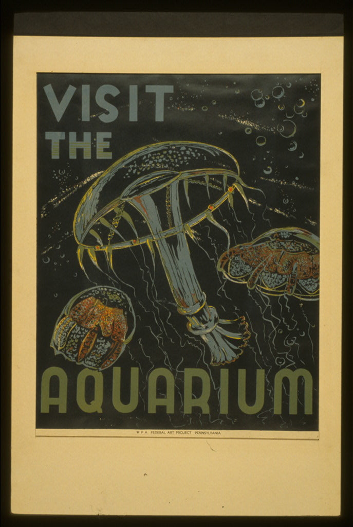 A picture of Visit the aquarium