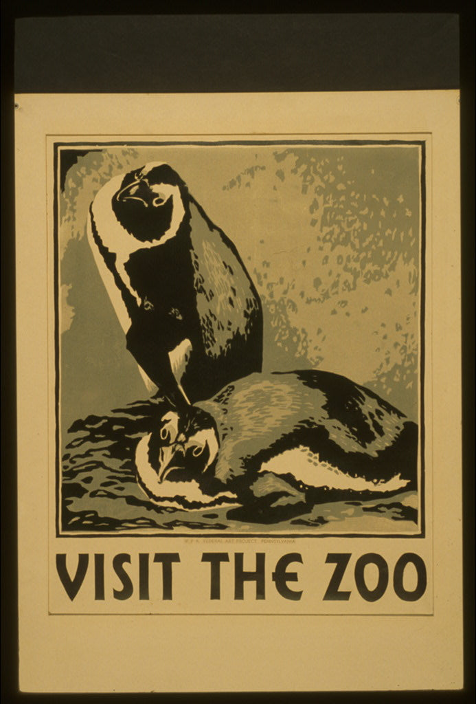 A picture of Visit the zoo