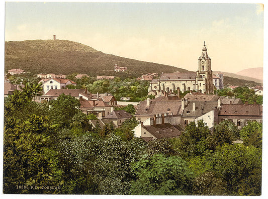 A picture of Voeslau (i.e., Vöslau), general view, Vienna, Austro-Hungary