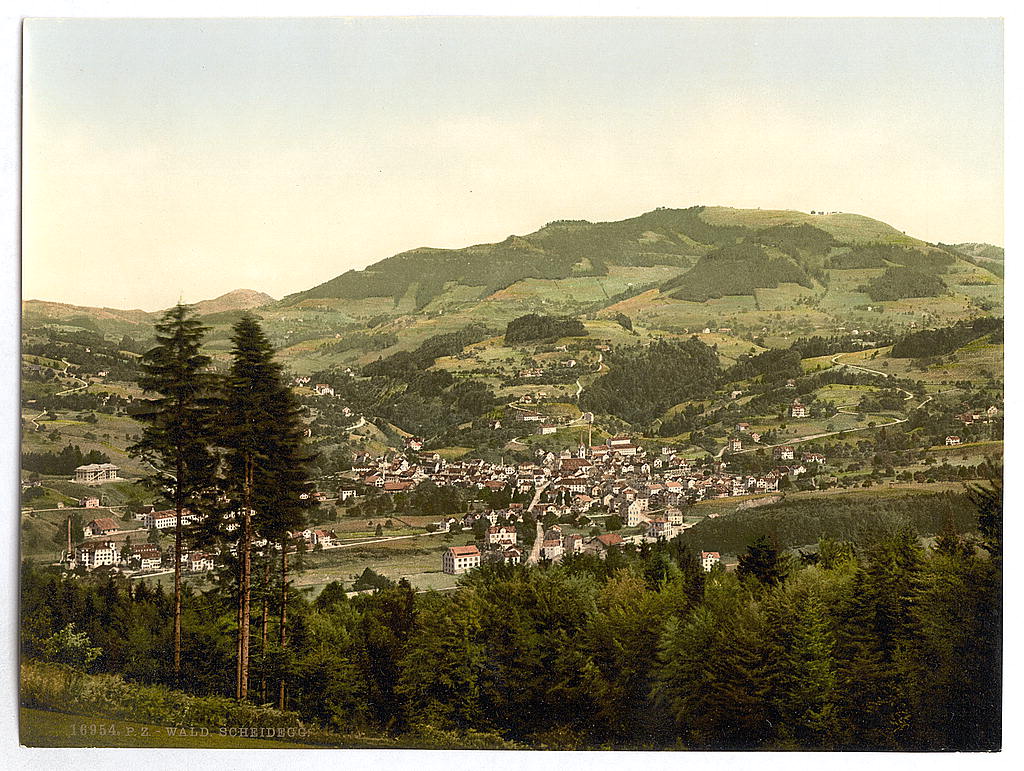 A picture of Wald, general view, Zurich, Switzerland