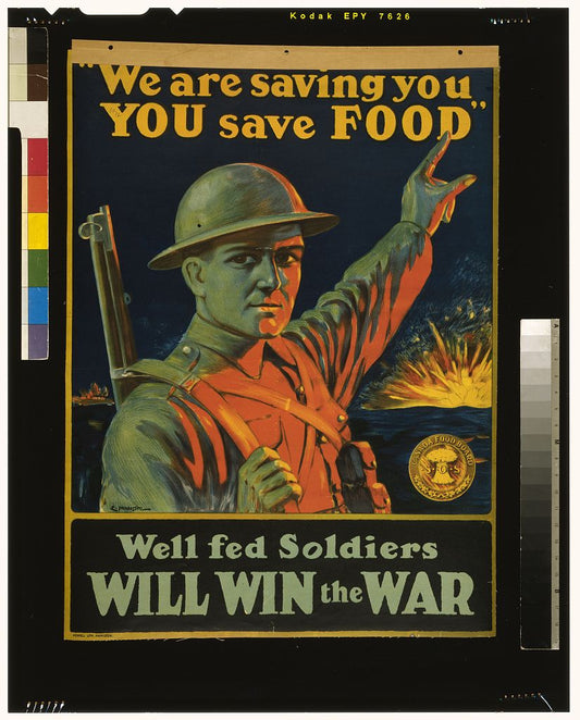 A picture of We are saving you, you save food