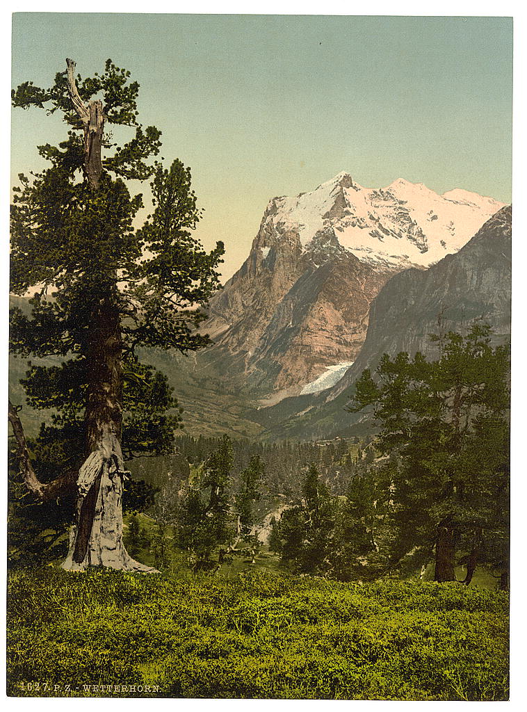 A picture of Wetterhorn, general view, Bernese Oberland, Switzerland