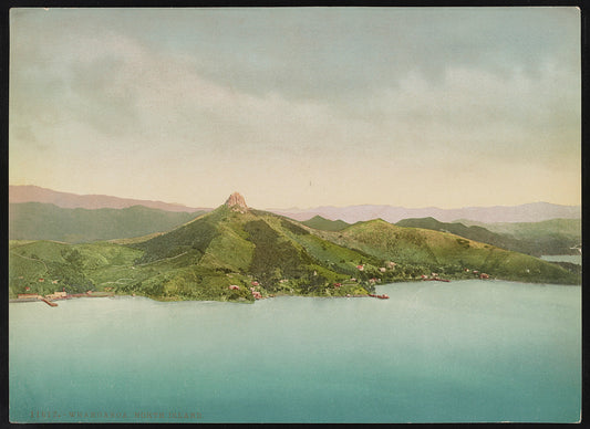 A picture of Whangaroa. North Island