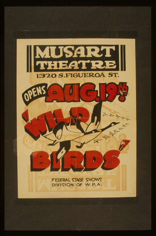 A picture of "Wild birds"