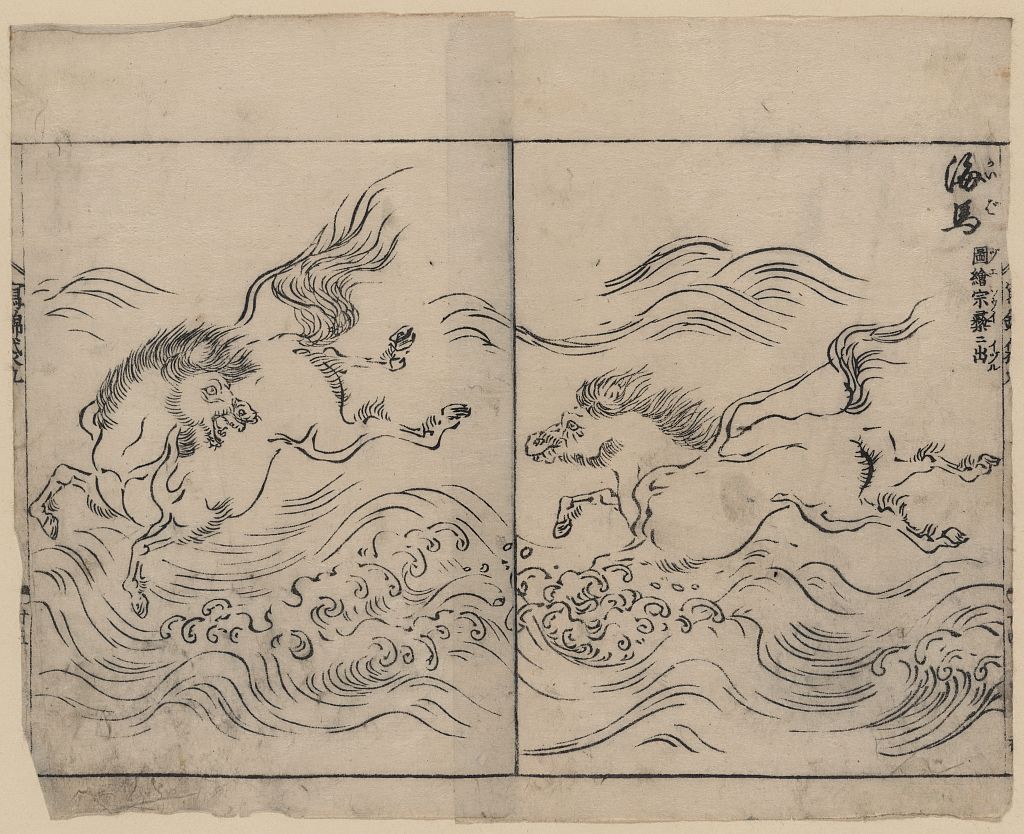 A picture of Wild horses running in water, across a river or in surf