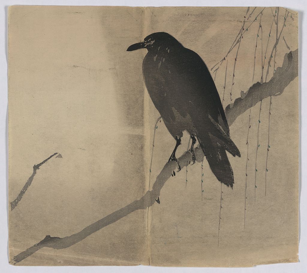 A picture of Yanagi ni karasu