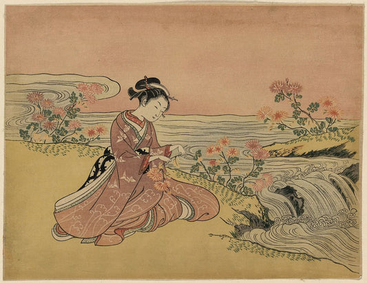 A picture of Yatsushi kikujidō