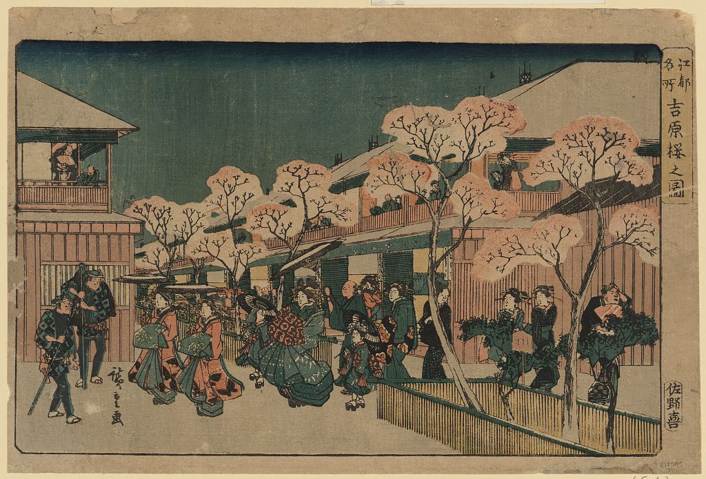 A picture of Yoshiwara sakura no zu