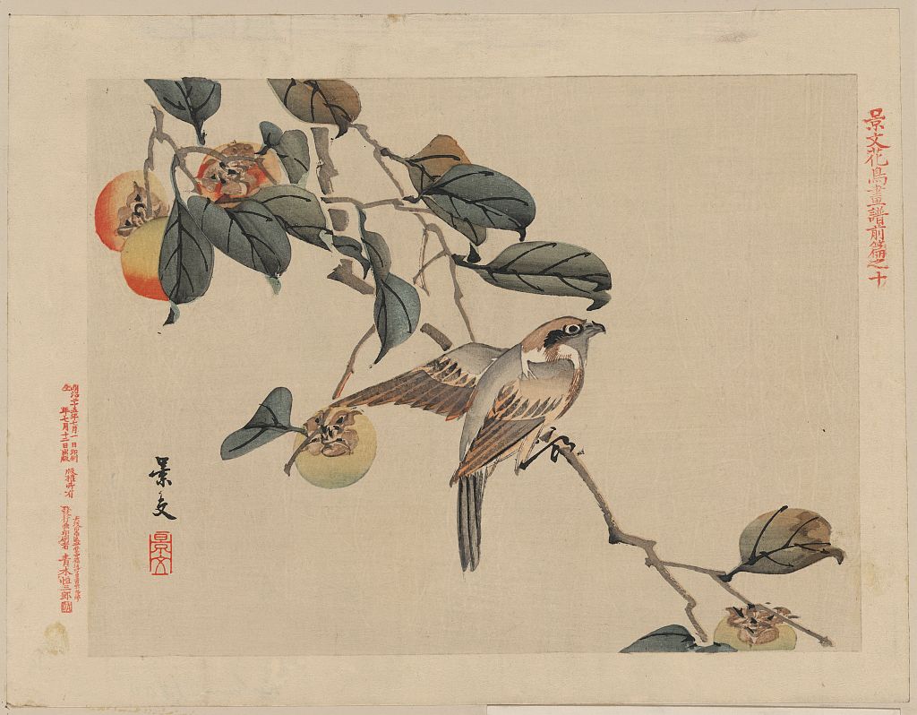 A picture of Zenpen no jū