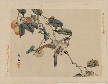 A picture of Zenpen no jū
